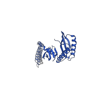 21447_6vxp_C_v1-1
Cryo-EM structure of Arabidopsis thaliana MSL1 in lipid nanodisc