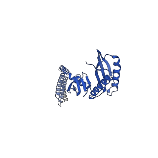 21447_6vxp_C_v1-2
Cryo-EM structure of Arabidopsis thaliana MSL1 in lipid nanodisc