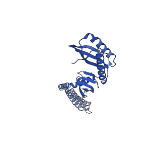 21447_6vxp_D_v1-1
Cryo-EM structure of Arabidopsis thaliana MSL1 in lipid nanodisc