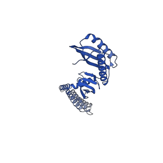 21447_6vxp_D_v1-2
Cryo-EM structure of Arabidopsis thaliana MSL1 in lipid nanodisc