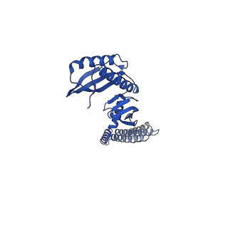 21447_6vxp_E_v1-2
Cryo-EM structure of Arabidopsis thaliana MSL1 in lipid nanodisc