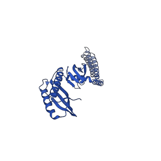 21447_6vxp_G_v1-1
Cryo-EM structure of Arabidopsis thaliana MSL1 in lipid nanodisc