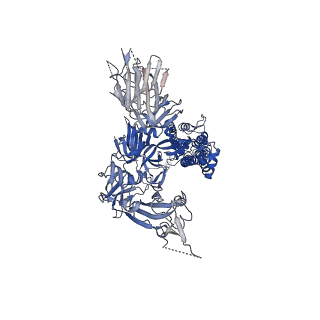 21452_6vxx_A_v1-4
Structure of the SARS-CoV-2 spike glycoprotein (closed state)