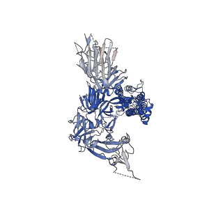 21452_6vxx_A_v2-1
Structure of the SARS-CoV-2 spike glycoprotein (closed state)
