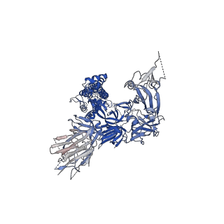 21452_6vxx_B_v1-4
Structure of the SARS-CoV-2 spike glycoprotein (closed state)