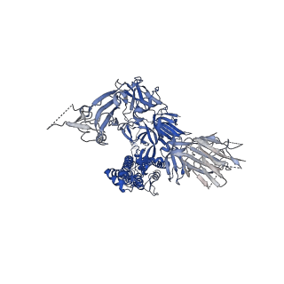 21452_6vxx_C_v1-4
Structure of the SARS-CoV-2 spike glycoprotein (closed state)