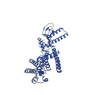 21453_6vxz_A_v1-2
SthK P300A cyclic nucleotide-gated potassium channel in the closed state, in complex with cAMP