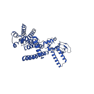 21453_6vxz_B_v1-1
SthK P300A cyclic nucleotide-gated potassium channel in the closed state, in complex with cAMP