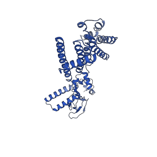 21453_6vxz_C_v1-1
SthK P300A cyclic nucleotide-gated potassium channel in the closed state, in complex with cAMP