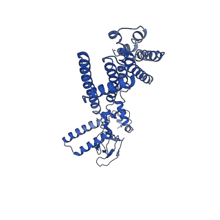 21453_6vxz_C_v1-2
SthK P300A cyclic nucleotide-gated potassium channel in the closed state, in complex with cAMP