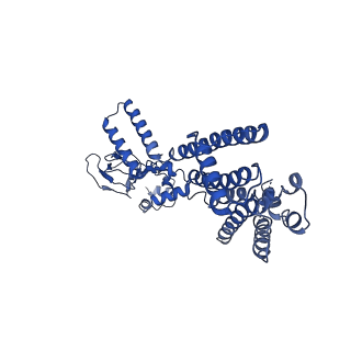 21453_6vxz_D_v1-1
SthK P300A cyclic nucleotide-gated potassium channel in the closed state, in complex with cAMP