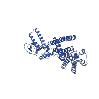 21453_6vxz_D_v1-2
SthK P300A cyclic nucleotide-gated potassium channel in the closed state, in complex with cAMP