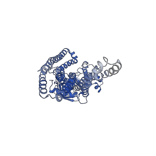 32171_7vx8_A_v1-1
Cryo-EM structure of ATP-bound human very long-chain fatty acid ABC transporter ABCD1