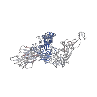 32172_7vx9_A_v1-1
SARS-CoV-2 Kappa variant spike protein in complex wth ACE2, state C1