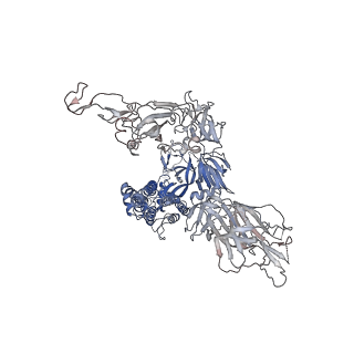 32172_7vx9_B_v1-1
SARS-CoV-2 Kappa variant spike protein in complex wth ACE2, state C1