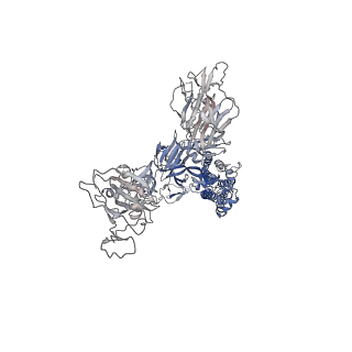 32172_7vx9_D_v1-1
SARS-CoV-2 Kappa variant spike protein in complex wth ACE2, state C1