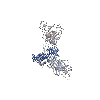 32173_7vxa_B_v1-1
SARS-CoV-2 Kappa variant spike protein in complex with ACE2, state C2a