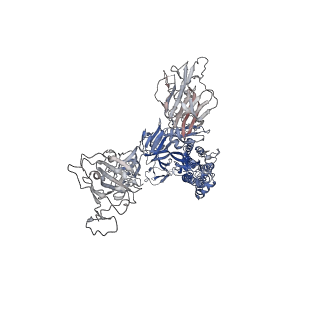32173_7vxa_D_v1-1
SARS-CoV-2 Kappa variant spike protein in complex with ACE2, state C2a