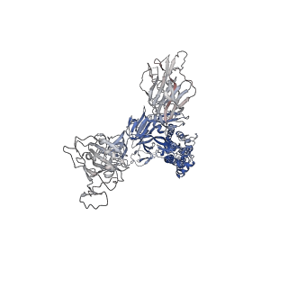 32174_7vxb_D_v1-1
SARS-CoV-2 Kappa variant spike protein in C2b state