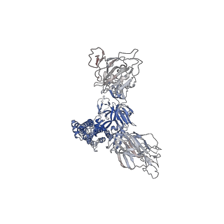 32175_7vxc_A_v1-1
SARS-CoV-2 Kappa variant spike protein in C3 state