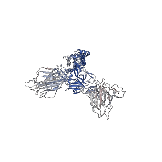 32175_7vxc_B_v1-1
SARS-CoV-2 Kappa variant spike protein in C3 state