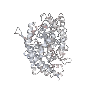 32175_7vxc_C_v1-1
SARS-CoV-2 Kappa variant spike protein in C3 state