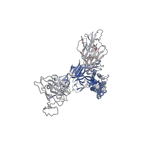 32175_7vxc_D_v1-1
SARS-CoV-2 Kappa variant spike protein in C3 state
