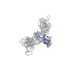32176_7vxd_A_v1-1
SARS-CoV-2 spike protein in complex with ACE2, Beta variant, C1 state