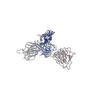 32178_7vxf_B_v1-1
SARS-CoV-2 spike protein in complex with ACE2, Beta variant, C2B state