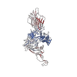 32180_7vxi_C_v1-1
SARS-CoV-2 Kappa variant spike protein in transition state