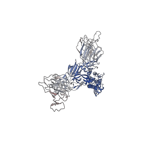 32182_7vxk_A_v1-1
SARS-CoV-2 spike protein in complex with ACE2, Beta variant, C2A state