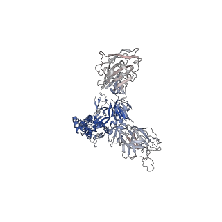 32182_7vxk_B_v1-1
SARS-CoV-2 spike protein in complex with ACE2, Beta variant, C2A state
