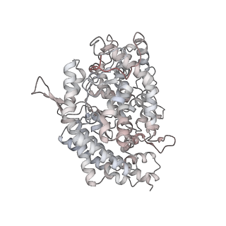 32182_7vxk_C_v1-1
SARS-CoV-2 spike protein in complex with ACE2, Beta variant, C2A state