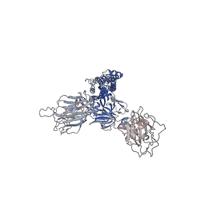 32184_7vxm_B_v1-0
SARS-CoV-2 spike protein in complex with ACE2, Beta variant, C3 state