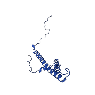 32187_7vxs_g_v1-1
Membrane arm of active state CI from Q10 dataset