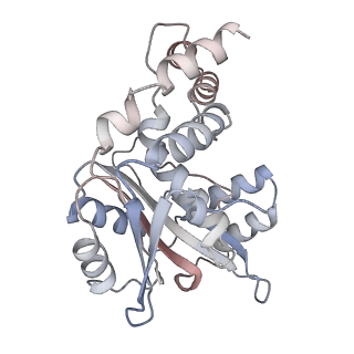 43613_8vx9_A_v1-1
Structure of HamAB apo complex from the Escherichia coli Hachiman defense system