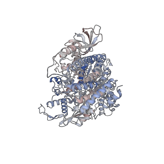 43613_8vx9_B_v1-1
Structure of HamAB apo complex from the Escherichia coli Hachiman defense system