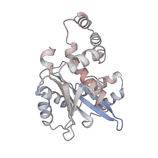 43643_8vxy_A_v1-1
Structure of HamA(E138A,K140A)B-plasmid DNA complex from the Escherichia coli Hachiman defense system