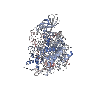 43643_8vxy_B_v1-1
Structure of HamA(E138A,K140A)B-plasmid DNA complex from the Escherichia coli Hachiman defense system