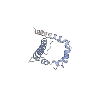 21456_6vy2_B_v1-1
Cryo-EM structure of M1214_N1 Fab in complex with CH505 TF chimeric SOSIP.664 Env trimer
