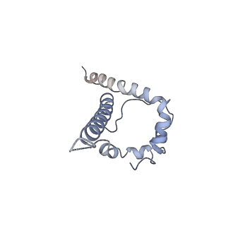 21456_6vy2_B_v2-0
Cryo-EM structure of M1214_N1 Fab in complex with CH505 TF chimeric SOSIP.664 Env trimer