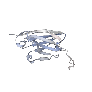 21456_6vy2_I_v1-1
Cryo-EM structure of M1214_N1 Fab in complex with CH505 TF chimeric SOSIP.664 Env trimer