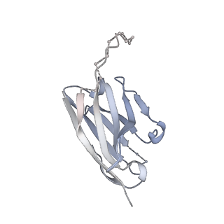 21456_6vy2_J_v1-1
Cryo-EM structure of M1214_N1 Fab in complex with CH505 TF chimeric SOSIP.664 Env trimer