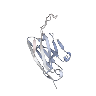 21456_6vy2_J_v2-0
Cryo-EM structure of M1214_N1 Fab in complex with CH505 TF chimeric SOSIP.664 Env trimer