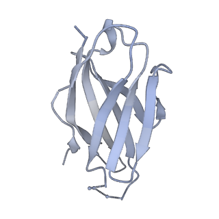 21456_6vy2_M_v1-1
Cryo-EM structure of M1214_N1 Fab in complex with CH505 TF chimeric SOSIP.664 Env trimer