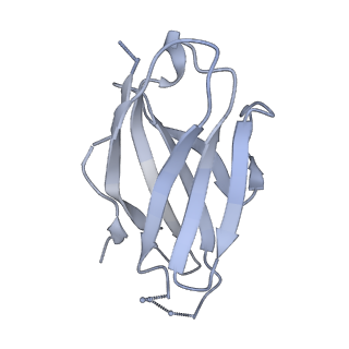 21456_6vy2_M_v2-0
Cryo-EM structure of M1214_N1 Fab in complex with CH505 TF chimeric SOSIP.664 Env trimer