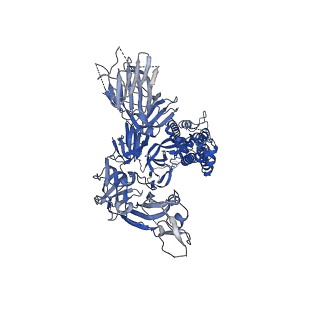 21457_6vyb_A_v1-4
SARS-CoV-2 spike ectodomain structure (open state)