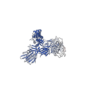 21457_6vyb_B_v1-4
SARS-CoV-2 spike ectodomain structure (open state)
