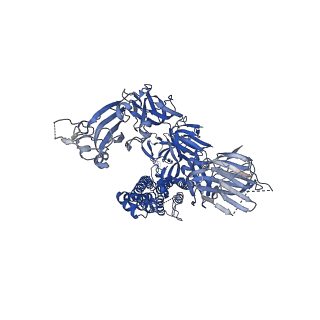 21457_6vyb_C_v1-4
SARS-CoV-2 spike ectodomain structure (open state)