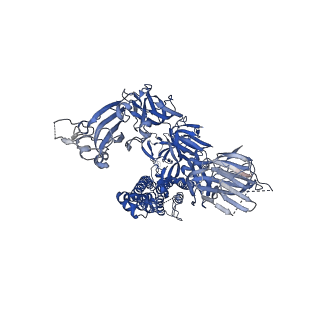 21457_6vyb_C_v2-0
SARS-CoV-2 spike ectodomain structure (open state)